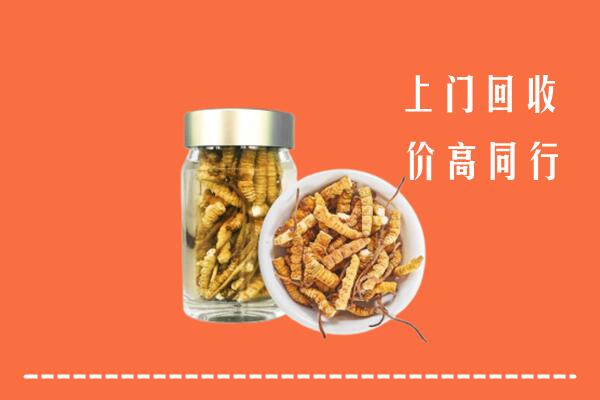 细河区回收冬虫夏草